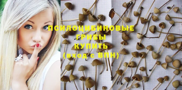 не бодяженный Снежногорск